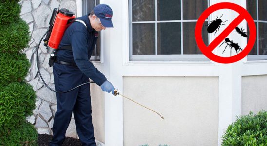 Oğuzlar Tahtakurusu İlaçlama böcek ilaçlama ve haşere kontrolü — ilaclama-tr.com